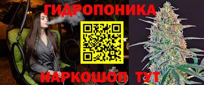 a pvp Донской
