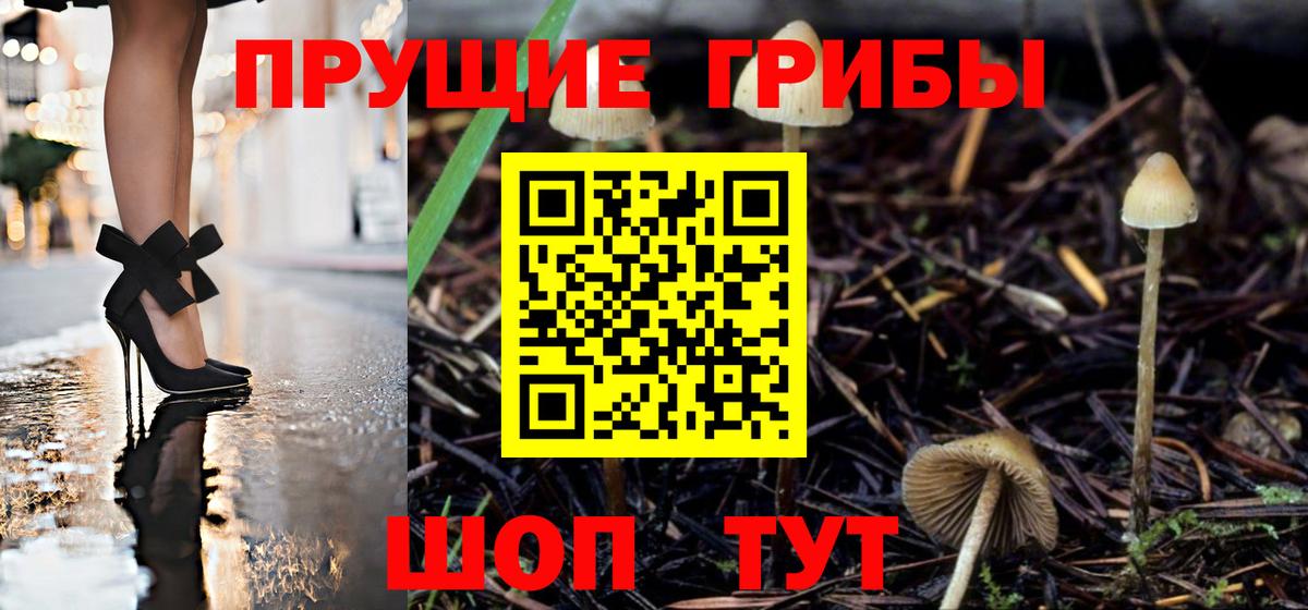 Псилоцибиновые грибы Cubensis Новокуйбышевск